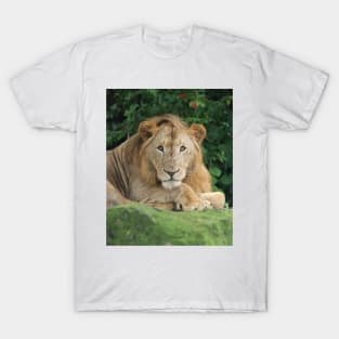 The Young King T-Shirt